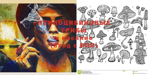 хмурый Няндома