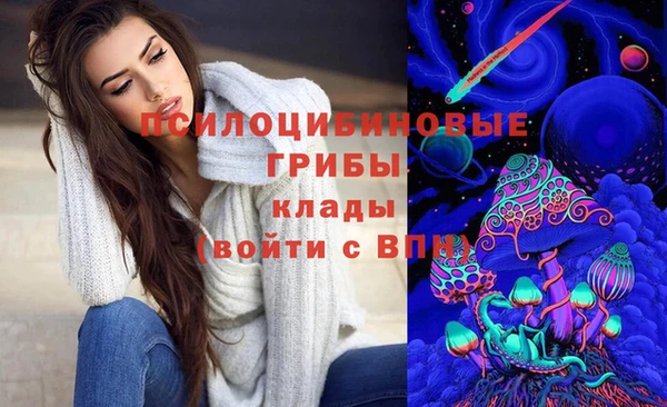 дмт Алексин